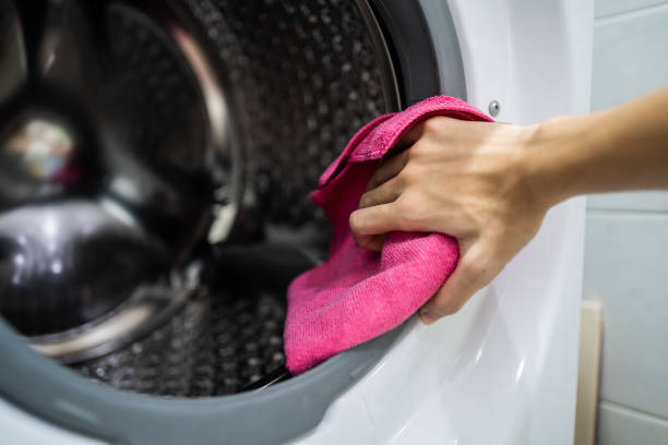 Best Mold Odor Removal Services  in Bellport, NY