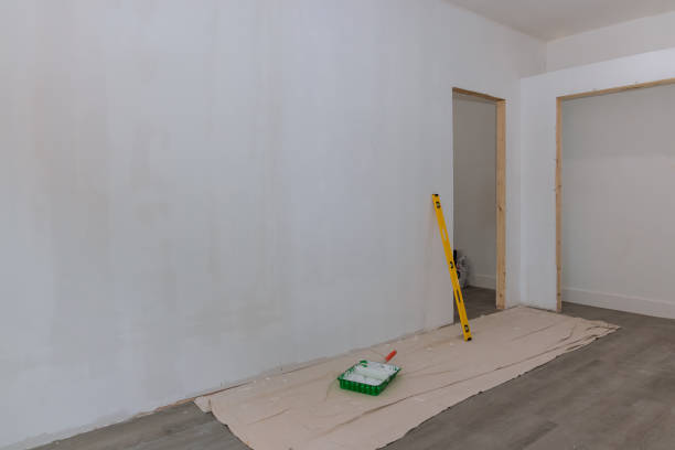 Mold Odor Removal Services in Bellport, NY