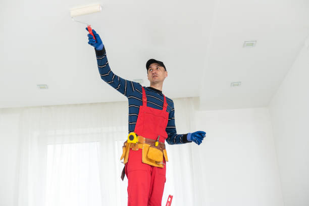 Best Forensic Mold Investigation  in Bellport, NY