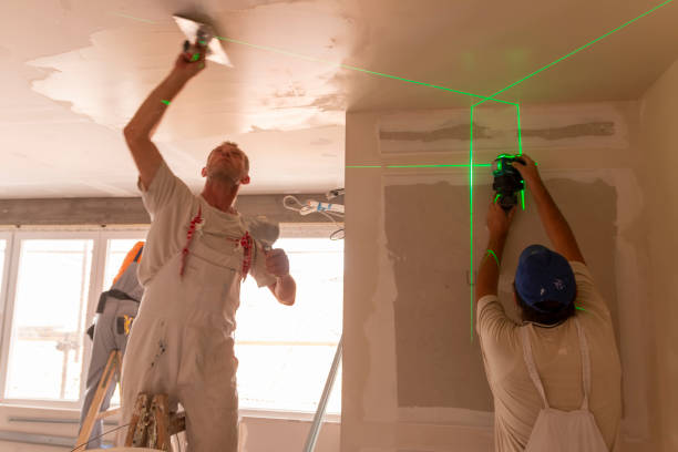 Best Forensic Mold Investigation  in Bellport, NY