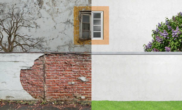 Best Comprehensive Air Testing for Mold Contaminants  in Bellport, NY