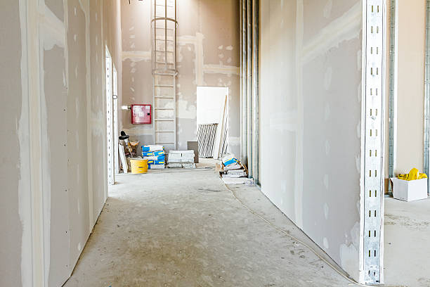 Best Residential Mold Inspection & Testing  in Bellport, NY